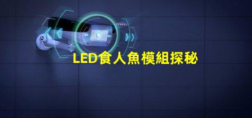 LED食人魚模組探秘新型LED食人魚模組的優(yōu)勢與應(yīng)用