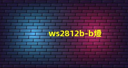 ws2812b-b燈珠