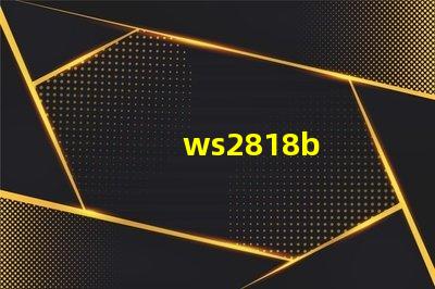 ws2818b