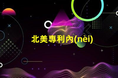 北美專利內(nèi)置ic燈珠